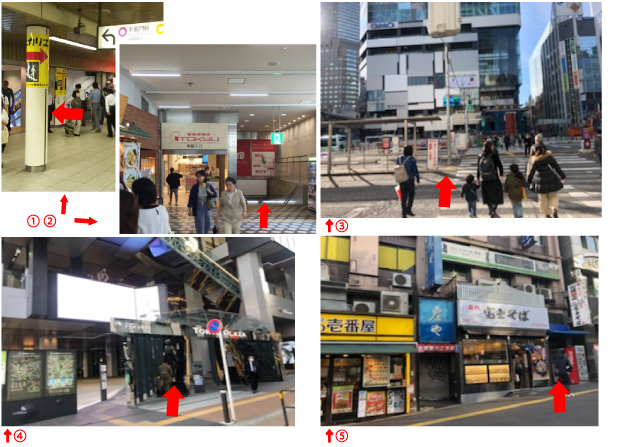JR山手線 渋谷駅 中央改札のルート